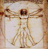 maestrias internacionales,maestrias por internet,maestrias a distancia,maestrias web,diplomados internacionales,diplomados web,diplomados a distancia,diplomados por internet,diplomados virtuales, masters internacionales,masters por internet,masters a distancia,masters web,masters gerencia, masters derechos humanos, masters ecología,masters recursos humanos,masters relaciones internacionales